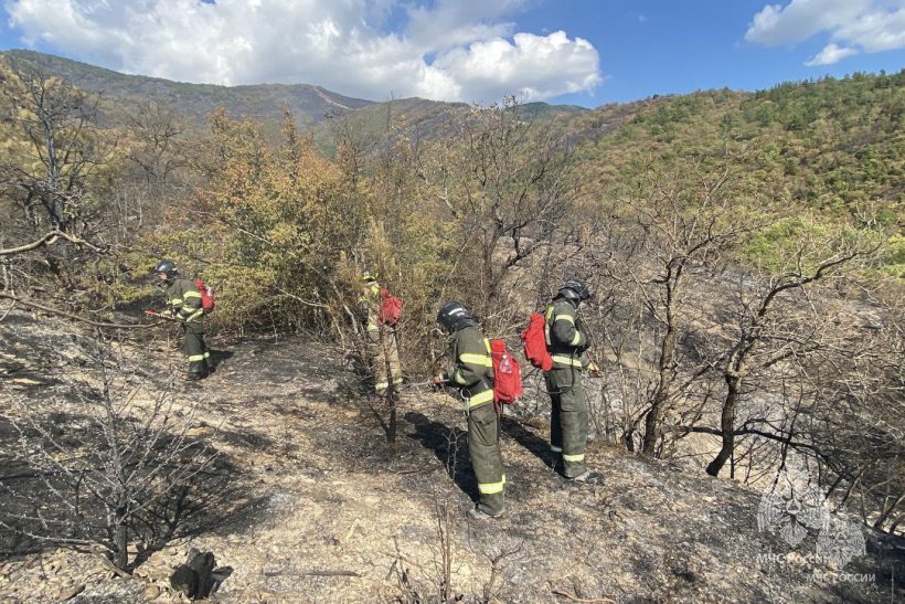 За 2023 год УПСЧ Академии привлекалась 397 раз  